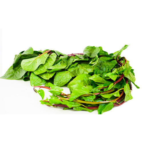 Malabar Spinach- Pui Shak- Pui-Gemüse 
